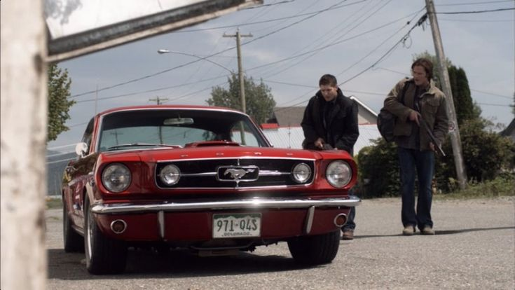 Жизнь продолжается