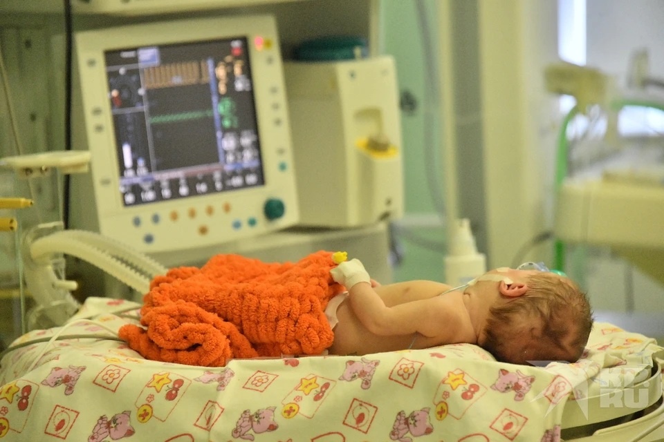 Фото: Владимир ВЕЛЕНГУРИН