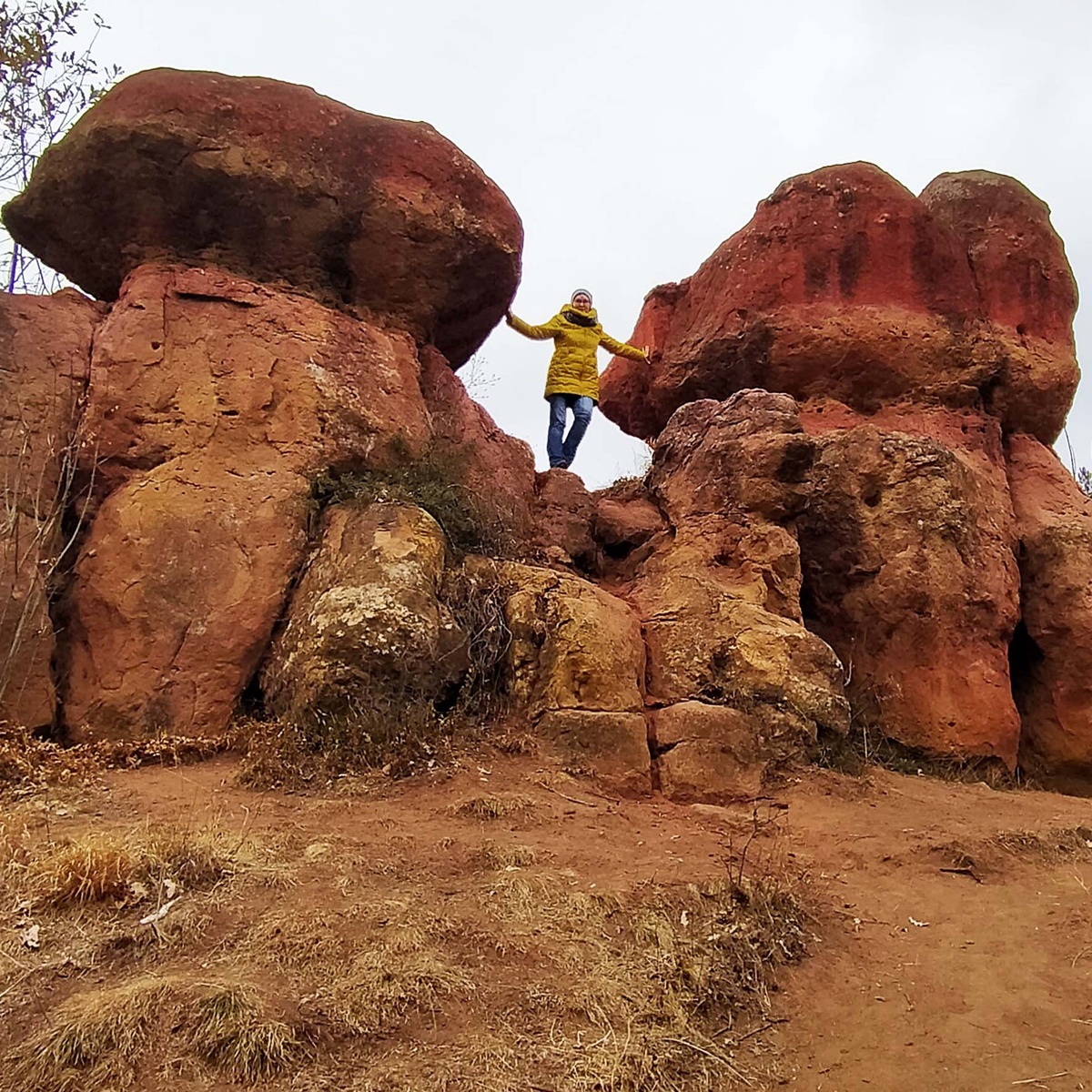 Так «Красные грибы» выглядели в ноябре 2020 года. Фото автора.