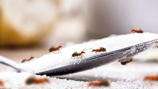    Фото: Ken Griffiths/Shutterstock/Fotodom