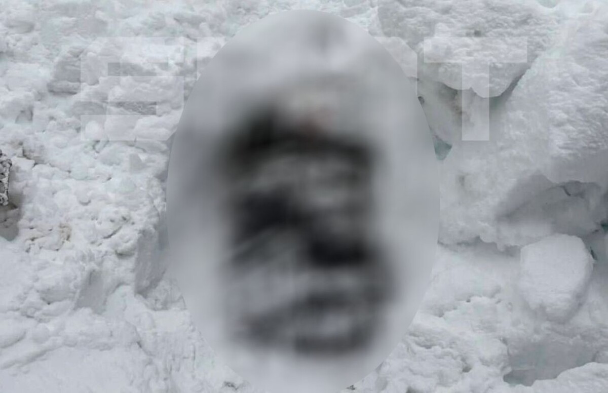    Фото: тг-канал Shot