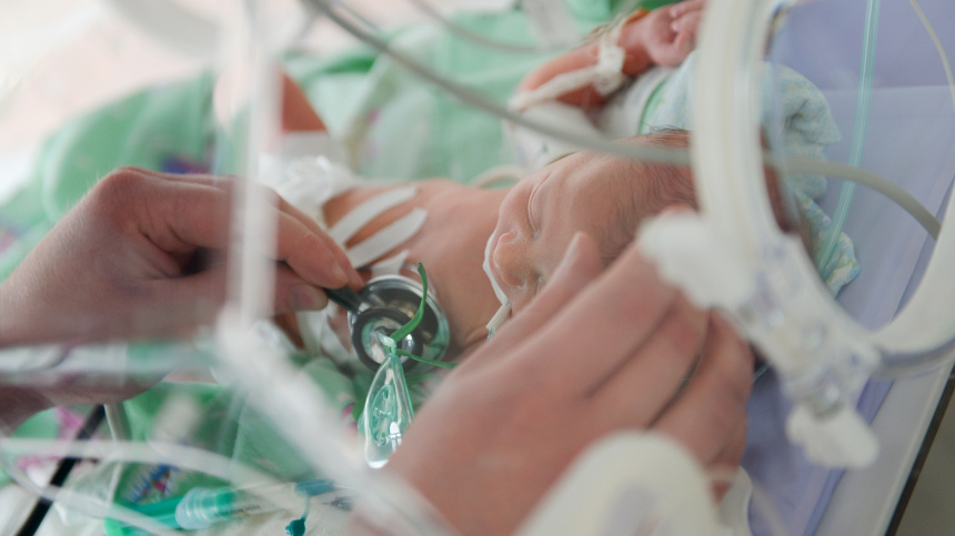    Фото: © РИА Новости/Владимир Трефилов