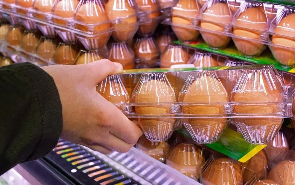Куриные яйца в магазине (иллюстрация из открытых источников)