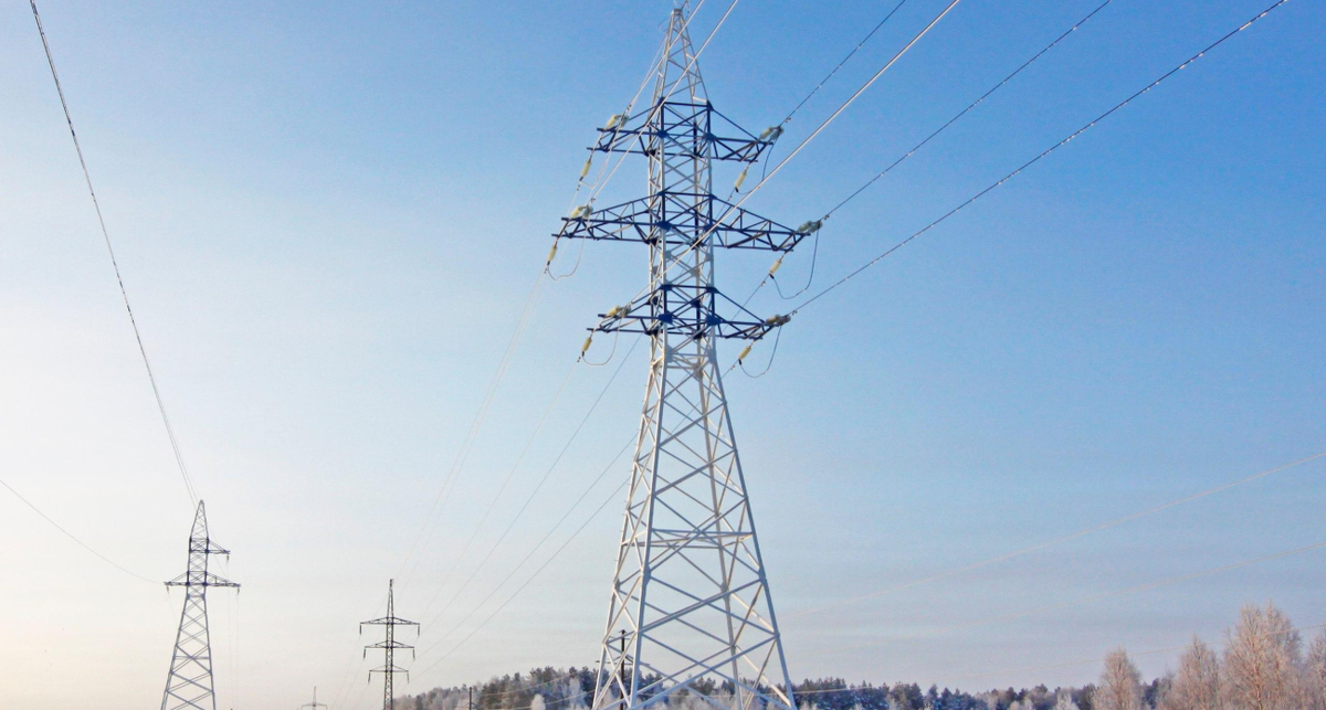    Ольга Демидова с сайта soroka-news.ru