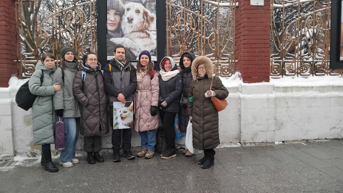 Мы и наши гости