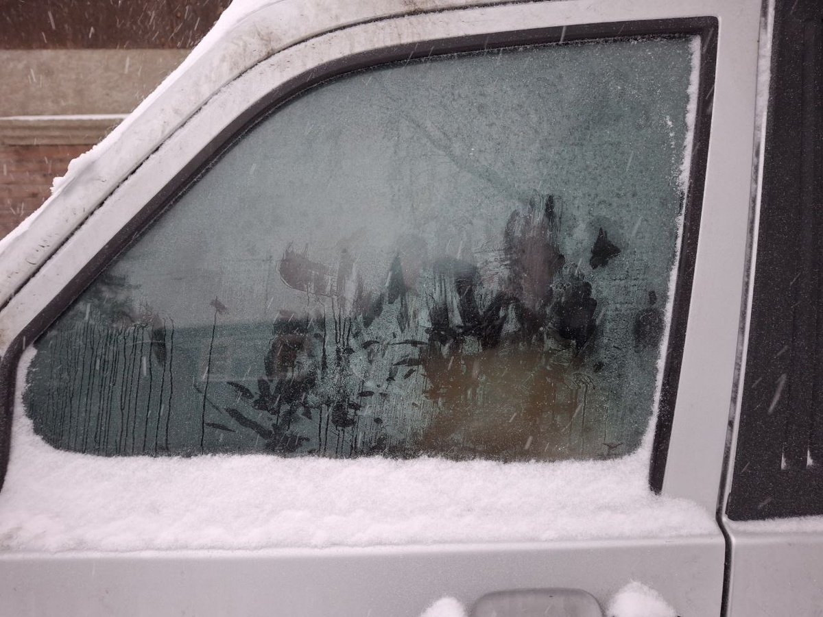    «В кабине не было даже воды»: водитель больше недели держит собаку в холодной машине