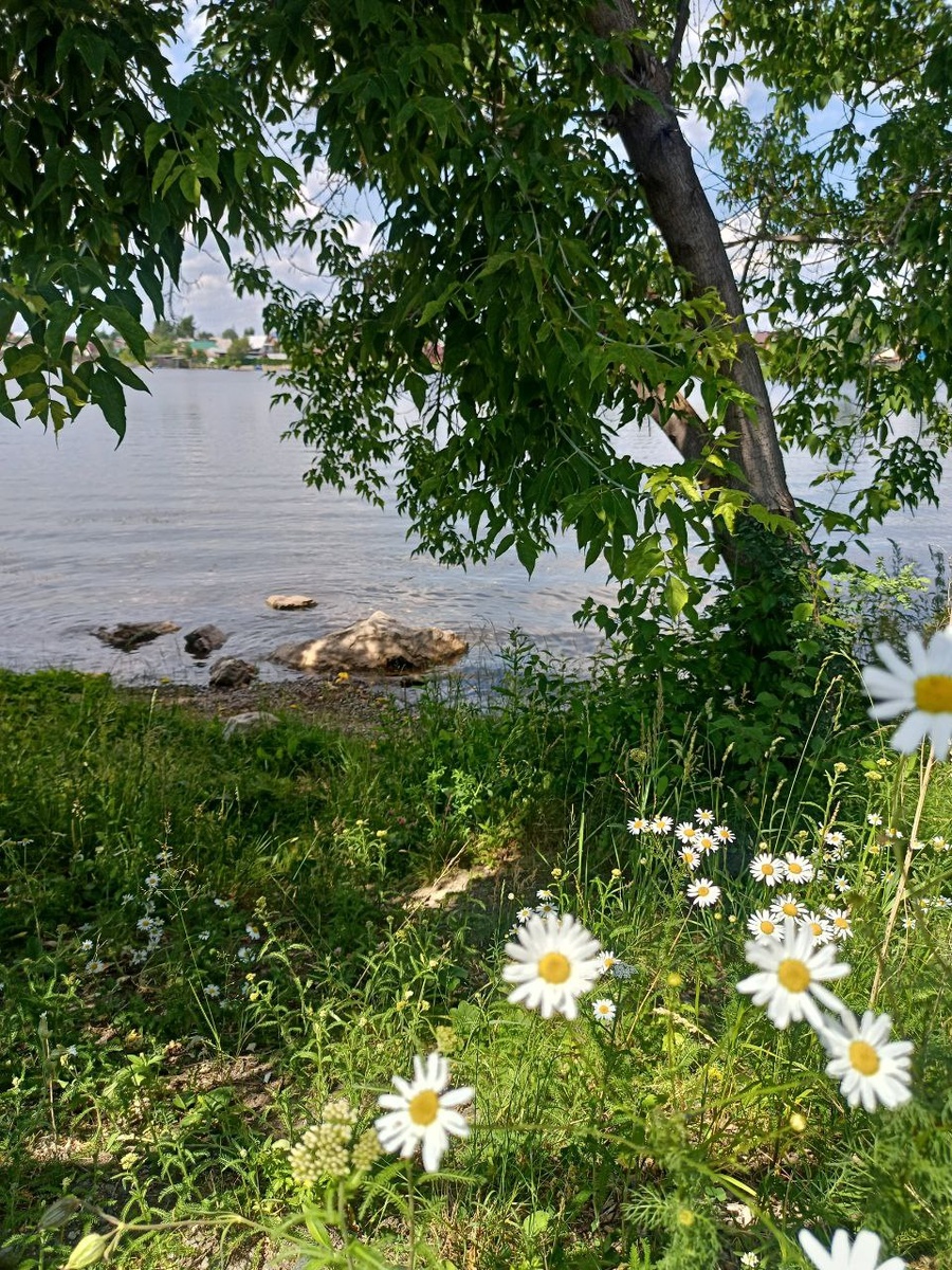На берегу Нижнетагильского пруда