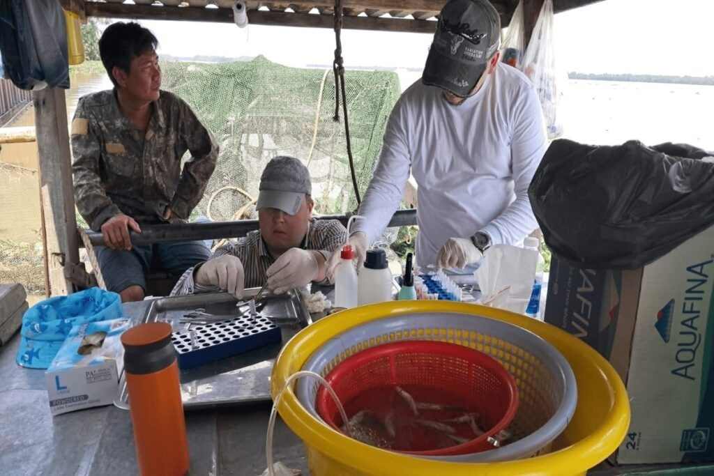    фото: © КарНЦ РАН