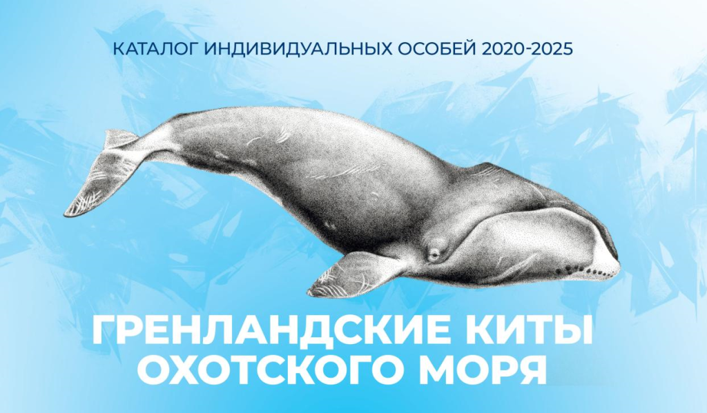    Первая страница каталога гренландских китов Охотского моря