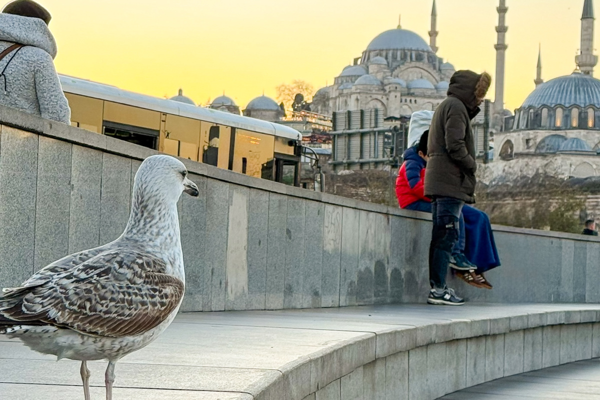 Личный архив