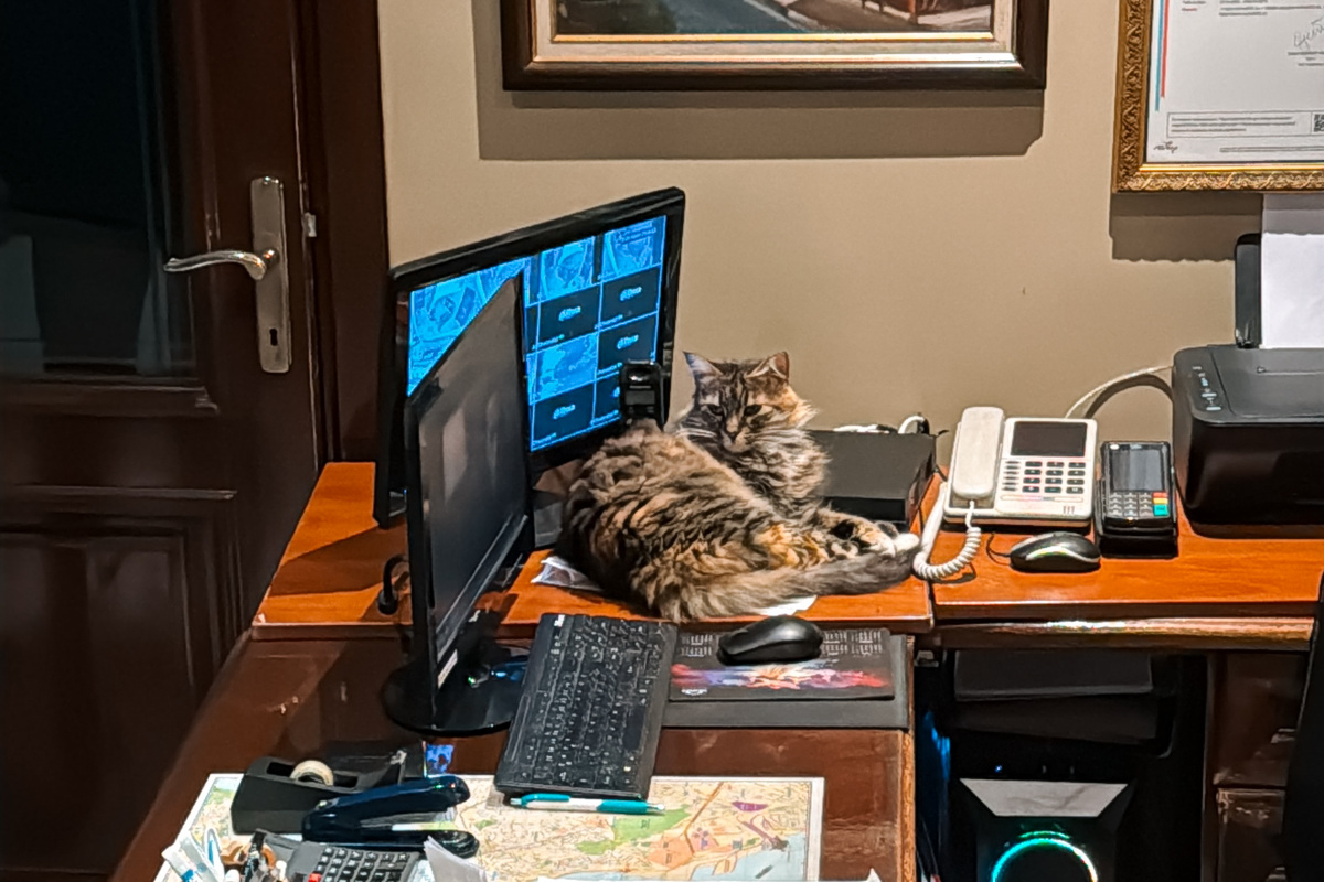 Наш администратор)) 