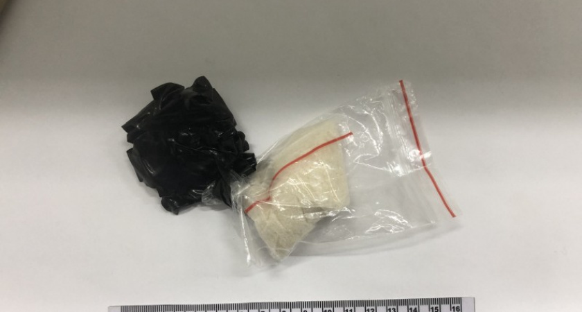    Фото МВД по Коми