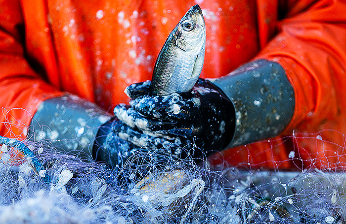    Jens Büttner/dpa/picture-alliance/TASS