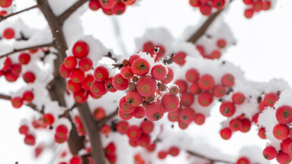 Фото: Егор Снетков / Коммерсантъ