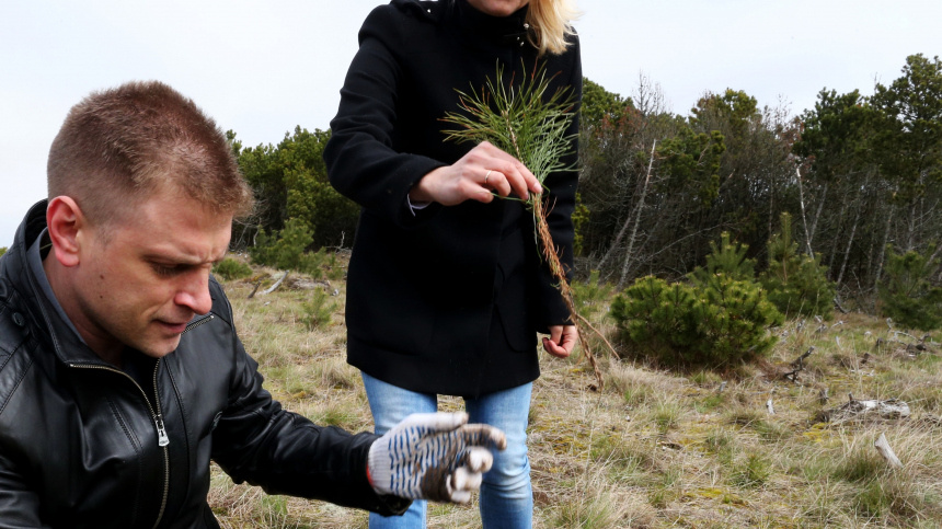    Фото: © РИА Новости/Игорь Зарембо; 5-tv.ru