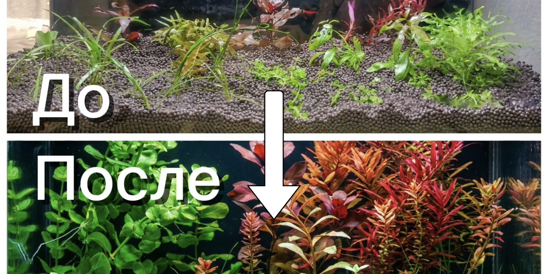 Сухой старт. Или зачем запускать аквариум без воды