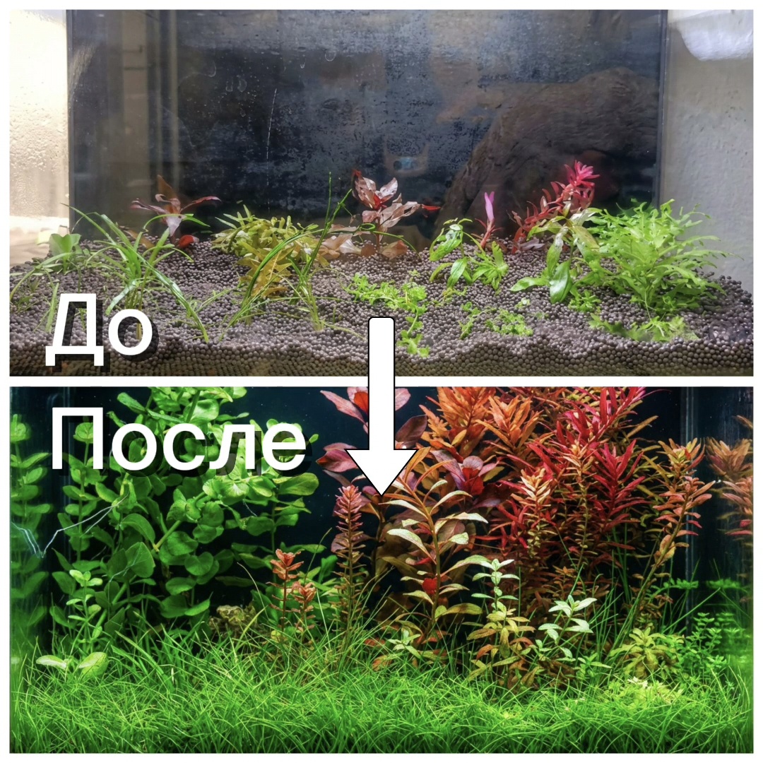 Сухой старт в нано аквариуме 