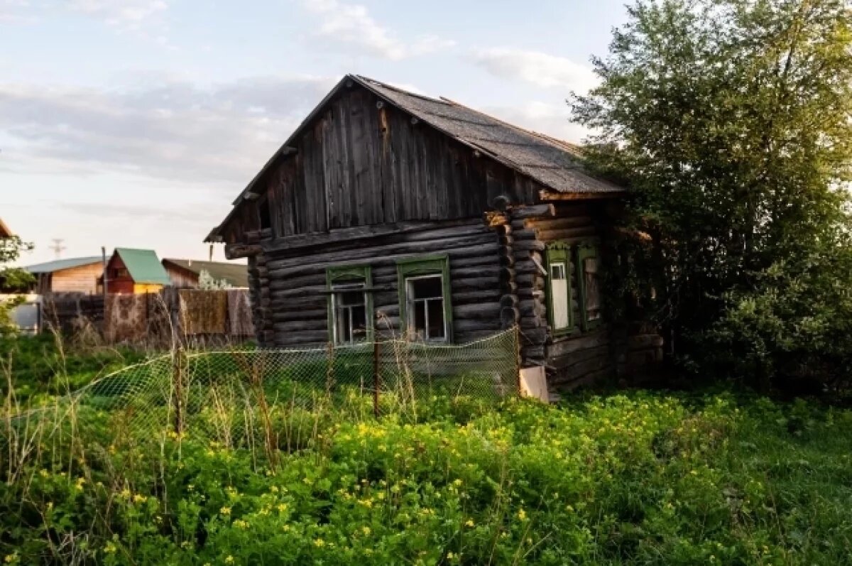    Почти 86 тысяч гектаров сельхозземель в Красноярском крае заброшены