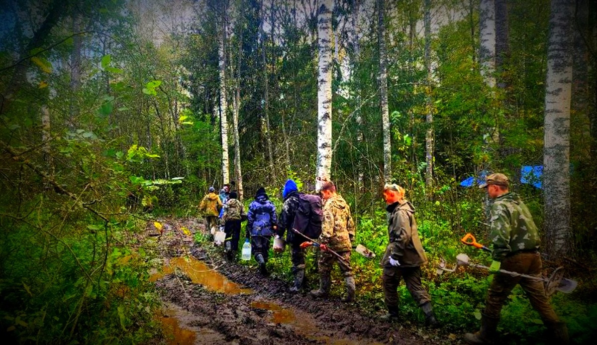 Глухие леса и размытые дороги Новгородской, Ленинградской, Смоленской областей.