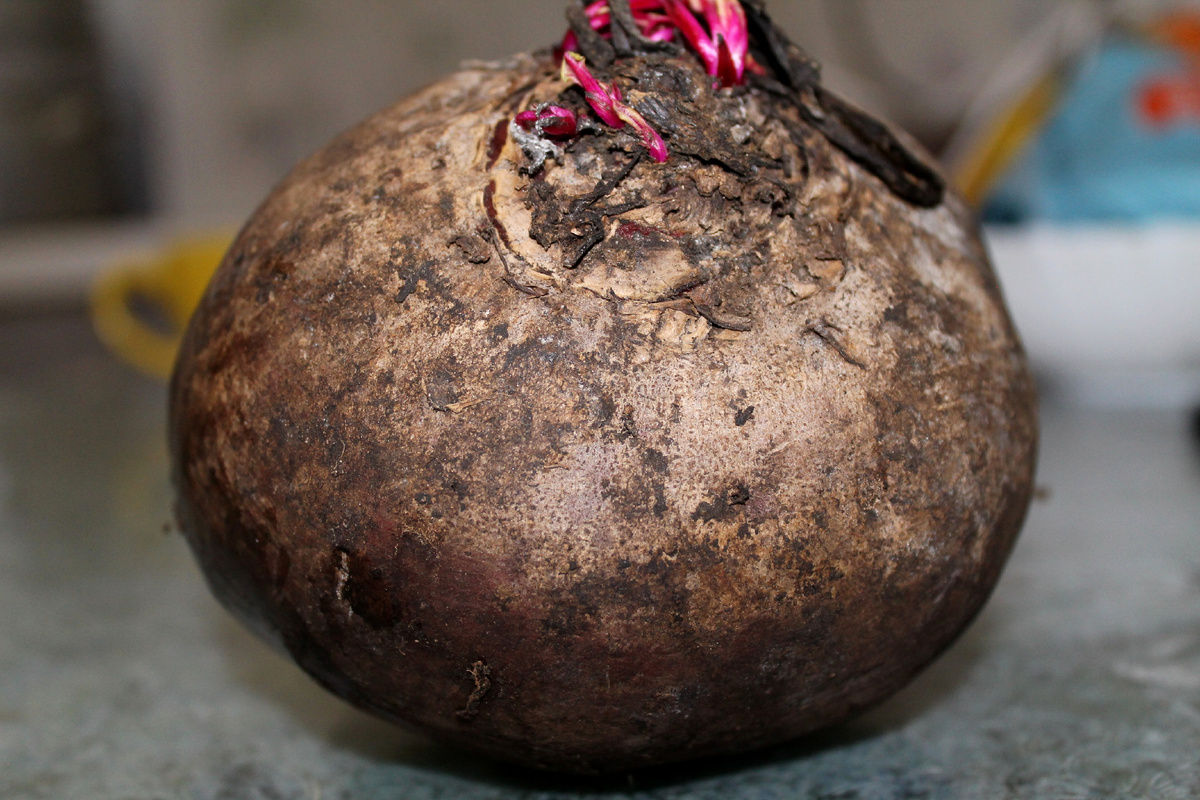 Фото автора.