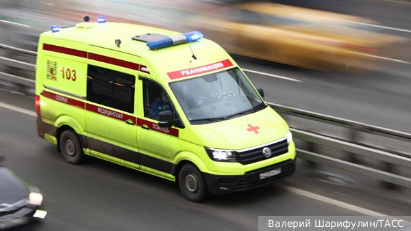     Фото: Валерий Шарифулин/ТАСС   
 Текст: Вера Басилая