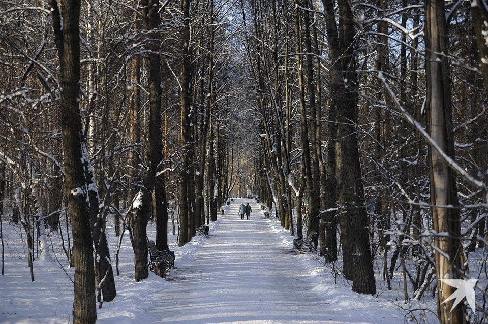    В Свердловской области продолжат благоустраивать парки, скверы, набережные и зоны отдыха Алексей БУЛАТОВ