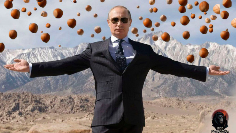 Все фото из интернета