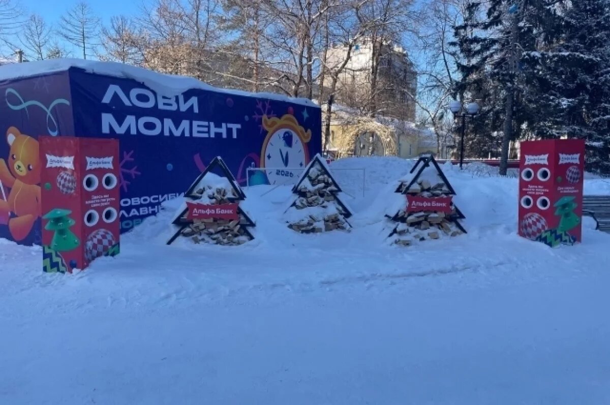    Грелки для рук установили в Центральном парке Новосибирска
