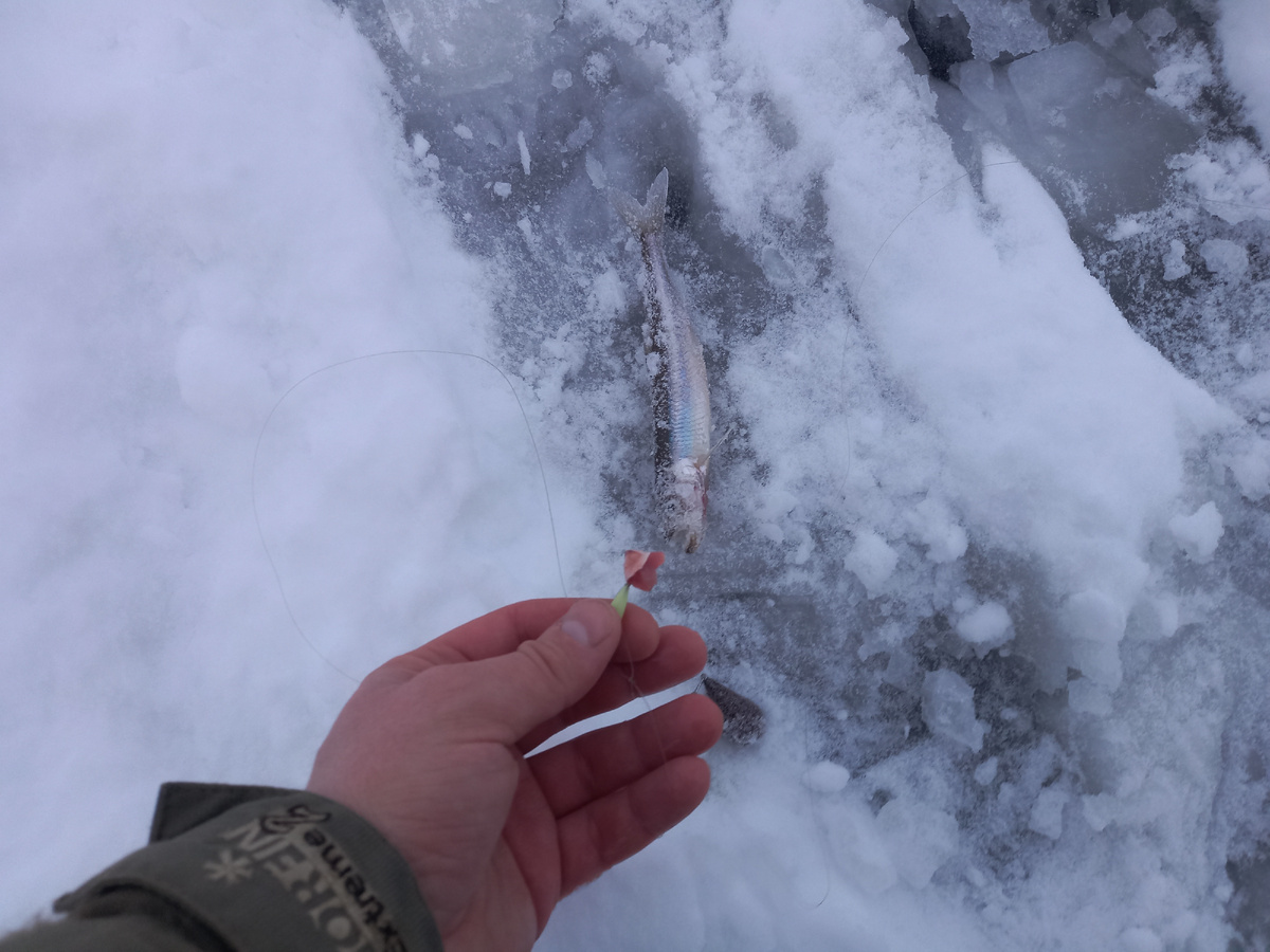 Есть первая)