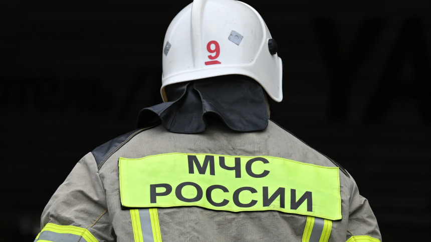    Фото: © РИА Новости/Константин Михальчевский