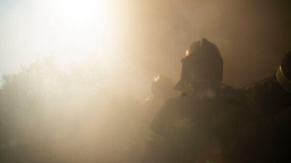    © РИА Новости Крым . Дмитрий Макеев