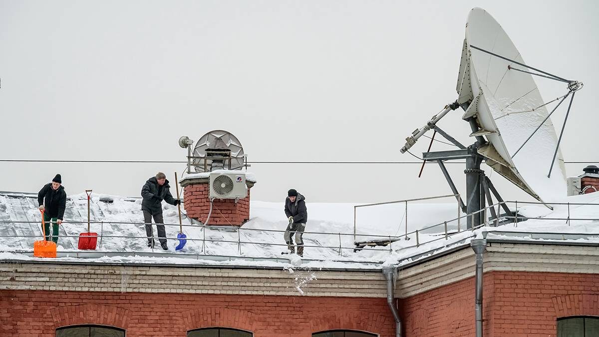    Фото: Дмитрий Дубинский / Вечерняя Москва