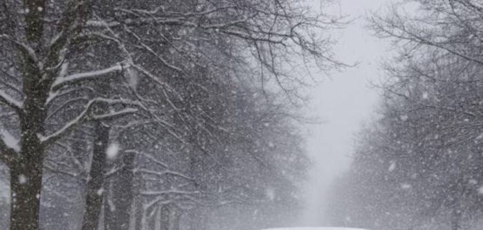 Иллюстрация: сгенерировано нейросетью