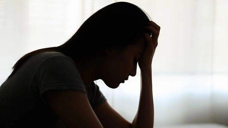    Фото: Cat Box/Shutterstock/Fotodom