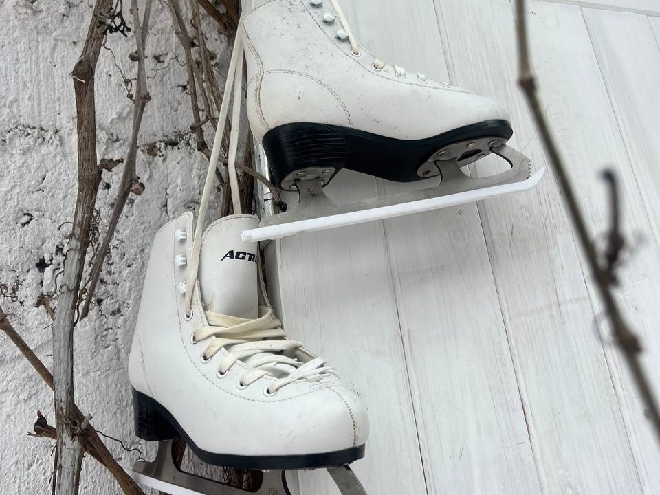    Фото: REGIONS/Татьяна Кордюкова