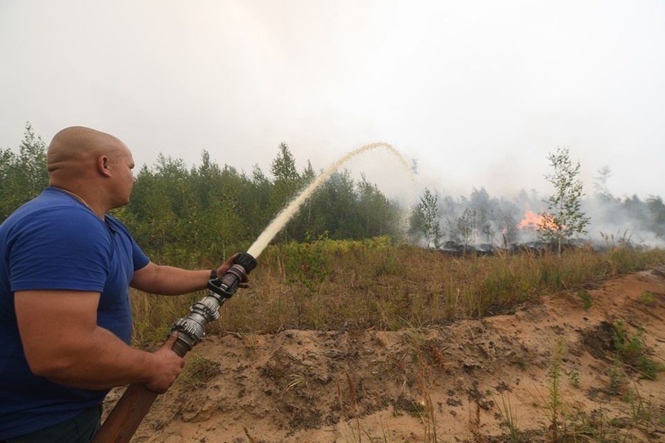    В ДНР приступили к формированию сводного плана тушения лесных пожаров (архивное фото) Иван МАКЕЕВ