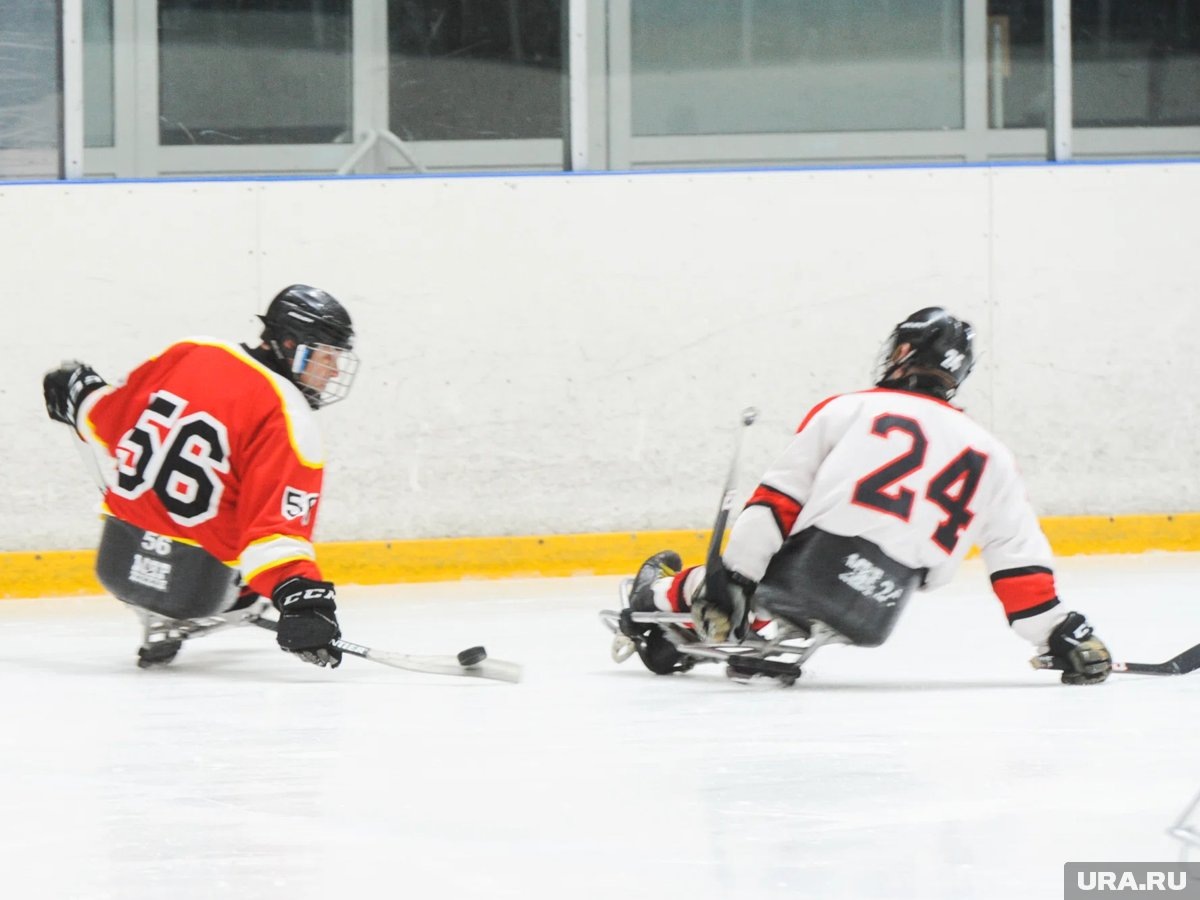     В «Воднике» будут проходить тренировки по следж-хоккею