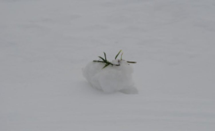    Фото: Минсельхоз Липецкой области