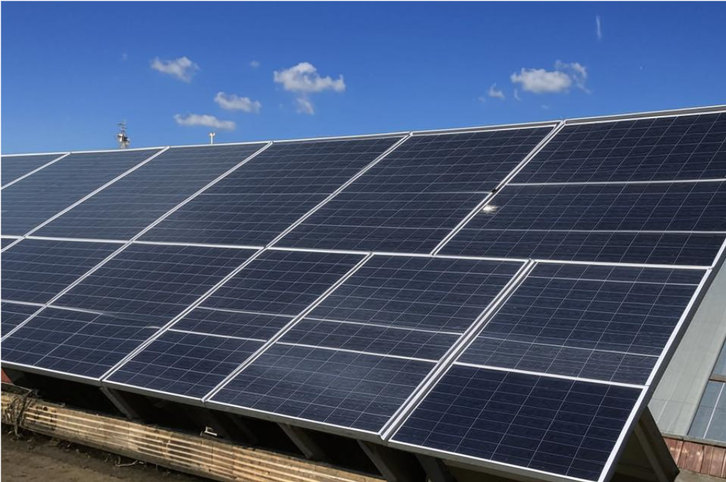    Фото сгенерировано Kandinsky 3.1