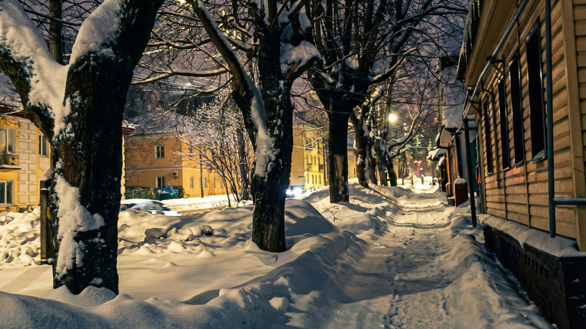 Светлана Мулыкина📷
