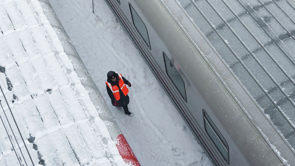    Фото: Mikhail Leonov / Shutterstock / Fotodom