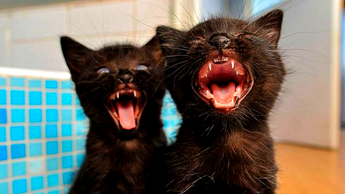 Ну даааай!!!