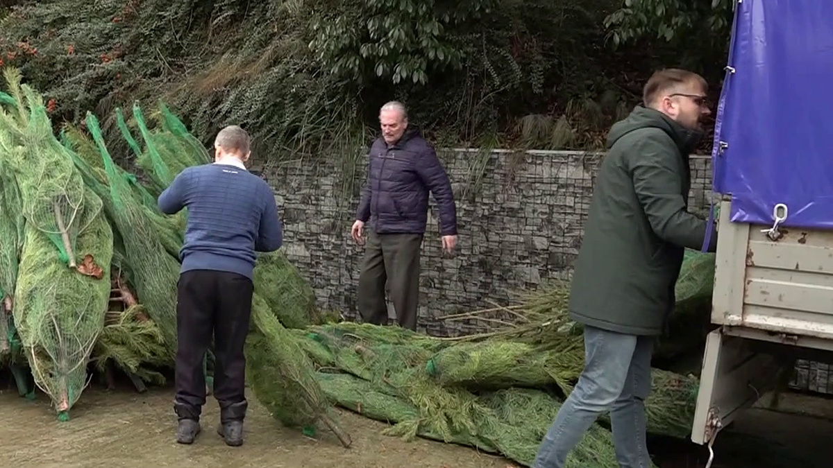    Первый канал