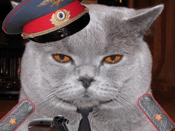 источник Яндекс