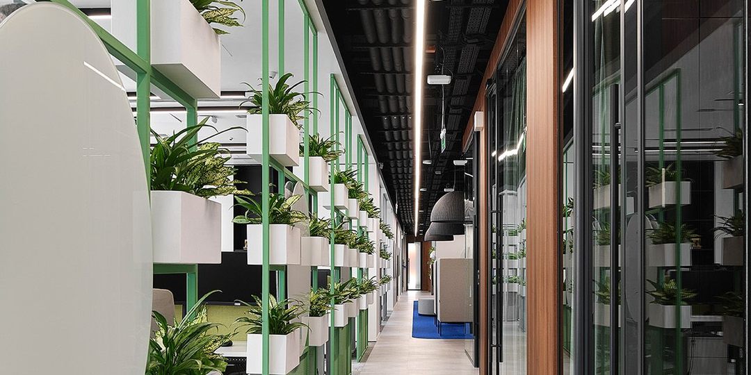 5 трендов в отделке офисов. Что выбирали наши заказчики в 2025 году