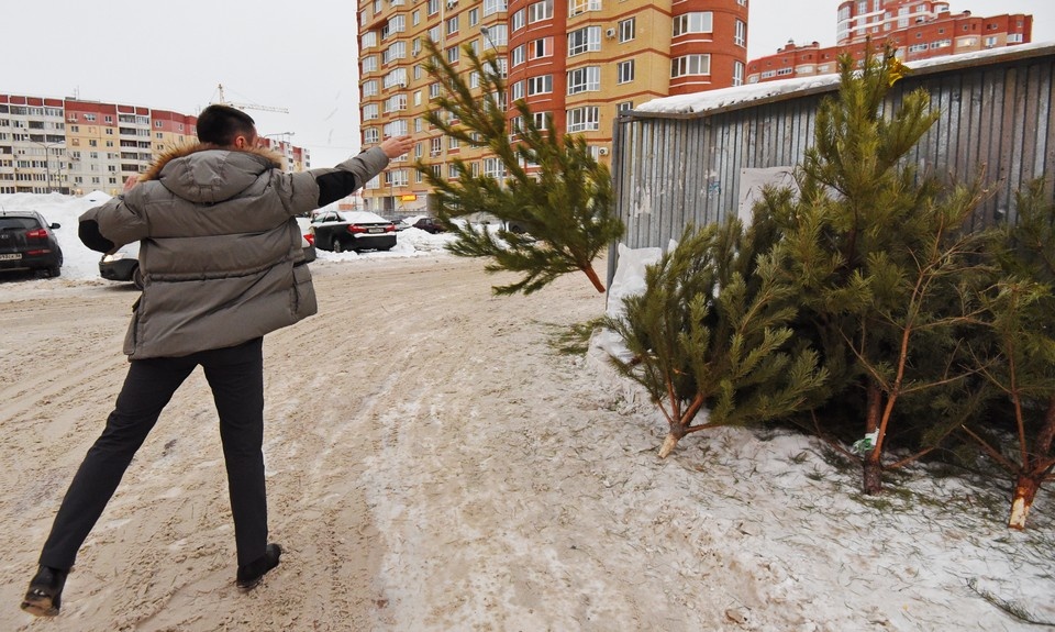    Просто так выбросить новогоднее деревце в мусорный контейнер рядом с домом нельзя - это грозит штрафом. Олег РУКАВИЦЫН