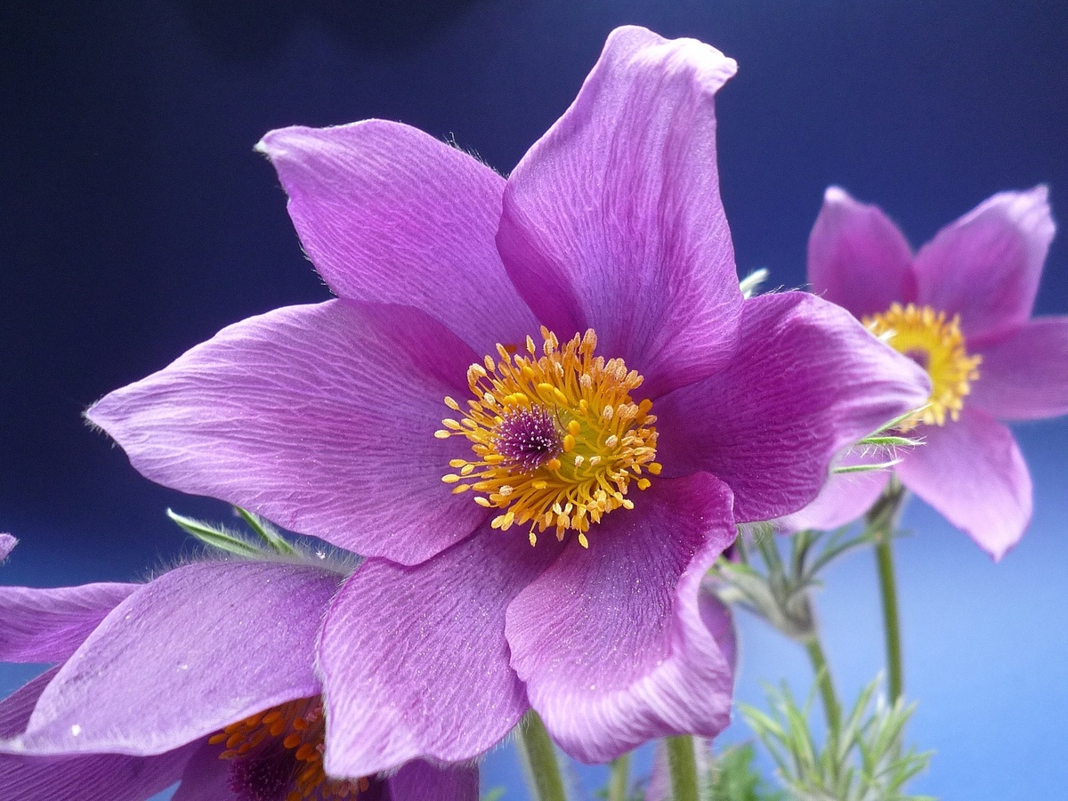 он слушал, не перебивая ее