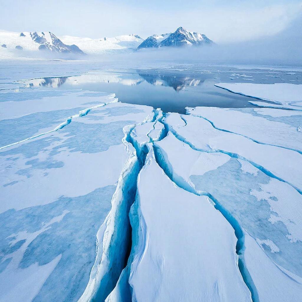 Рисунок автора