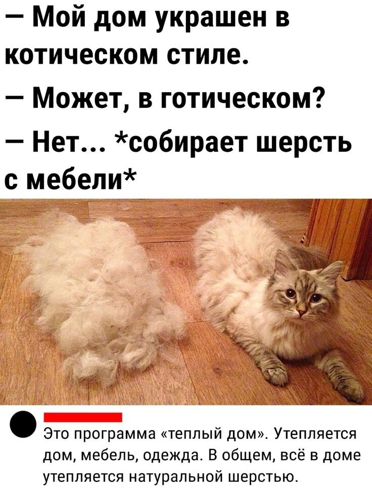 фото из интернета