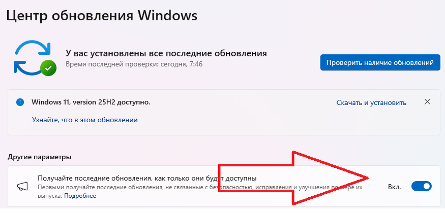 Елена Кочеткова📷Свежие обновления можно получать автоматически, если включить эту опцию вручную